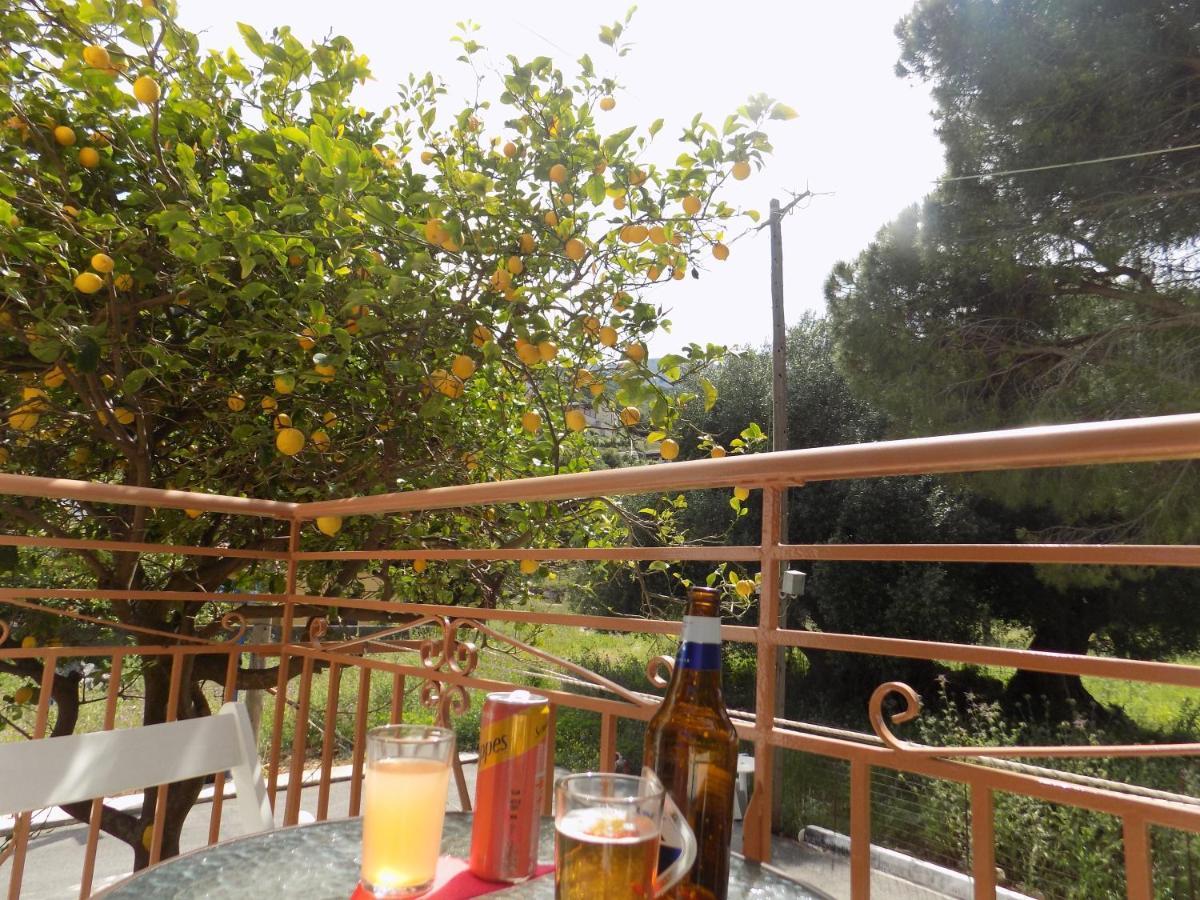 Afrodite Spacious Apartments! Agia Efimia Extérieur photo